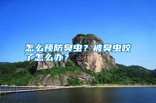 怎么預防臭蟲？被臭蟲咬了怎么辦？