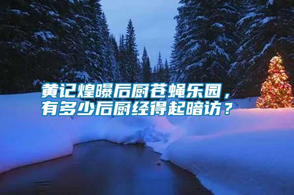黃記煌曝后廚蒼蠅樂園， 有多少后廚經(jīng)得起暗訪？