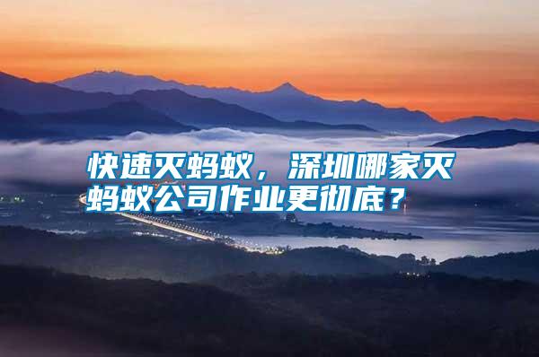 快速滅螞蟻，深圳哪家滅螞蟻公司作業更徹底？