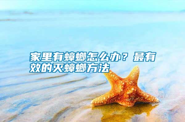 家里有蟑螂怎么辦？最有效的滅蟑螂方法