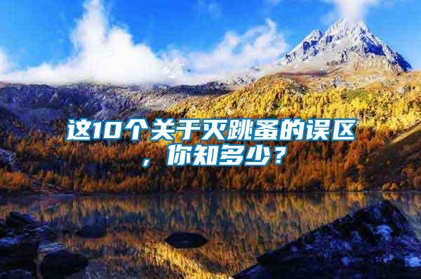 這10個關于滅跳蚤的誤區(qū)，你知多少？