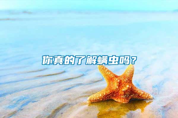 你真的了解螨蟲嗎？