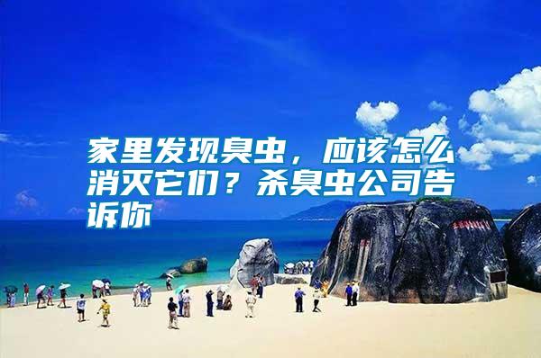 家里發(fā)現(xiàn)臭蟲(chóng)，應(yīng)該怎么消滅它們？殺臭蟲(chóng)公司告訴你