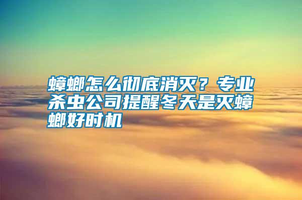 蟑螂怎么徹底消滅？專業(yè)殺蟲公司提醒冬天是滅蟑螂好時機