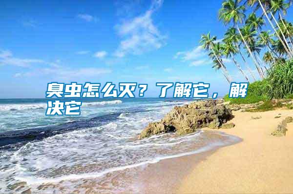 臭蟲怎么滅？了解它，解決它