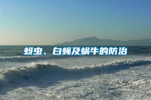 蚜蟲、白蠅及蝸牛的防治