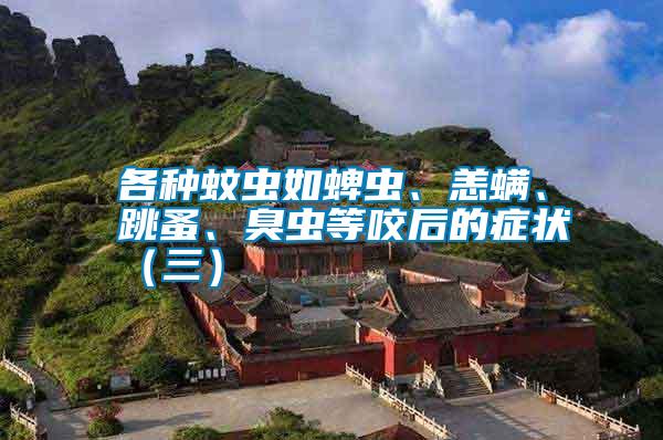 各種蚊蟲如蜱蟲、恙螨、跳蚤、臭蟲等咬后的癥狀（三）
