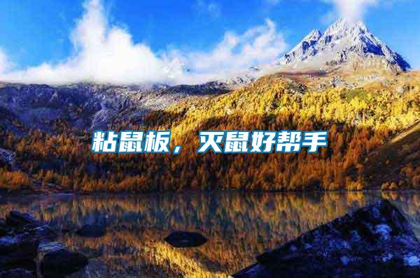 粘鼠板，滅鼠好幫手
