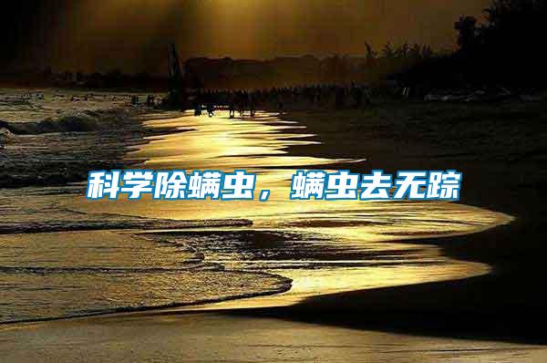 科學除螨蟲，螨蟲去無蹤