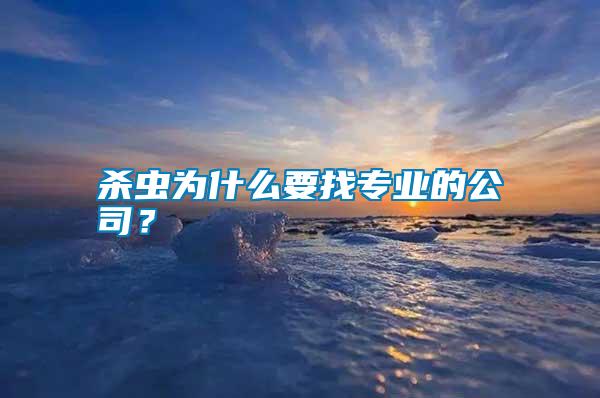 殺蟲為什么要找專業(yè)的公司？