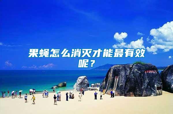 果蠅怎么消滅才能最有效呢？