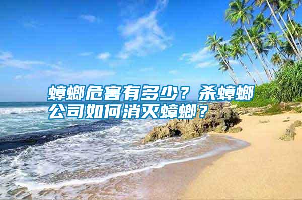 蟑螂危害有多少？殺蟑螂公司如何消滅蟑螂？