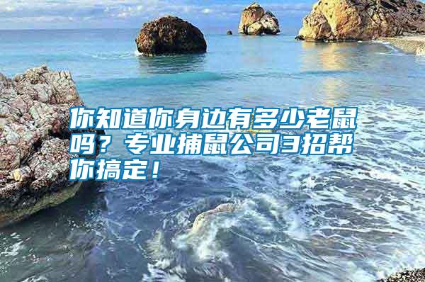 你知道你身邊有多少老鼠嗎？專業捕鼠公司3招幫你搞定！