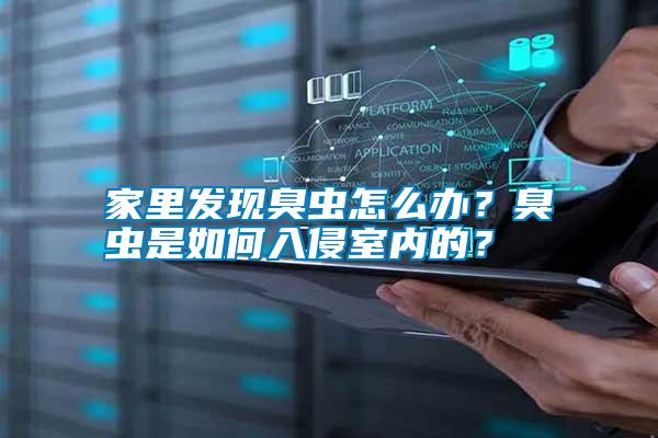 家里發(fā)現(xiàn)臭蟲(chóng)怎么辦？臭蟲(chóng)是如何入侵室內(nèi)的？