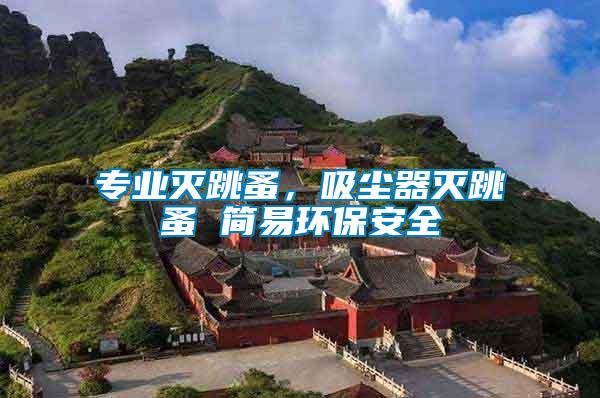 專業滅跳蚤，吸塵器滅跳蚤 簡易環保安全