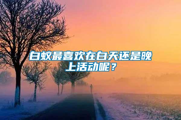 白蟻?zhàn)钕矚g在白天還是晚上活動(dòng)呢？