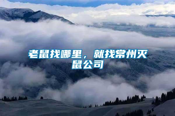 老鼠找哪里，就找常州滅鼠公司
