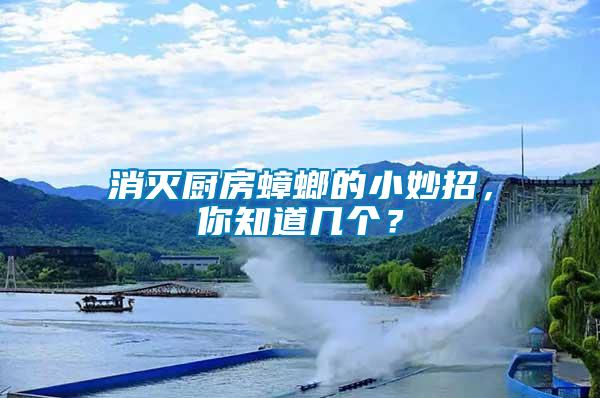 消滅廚房蟑螂的小妙招，你知道幾個？