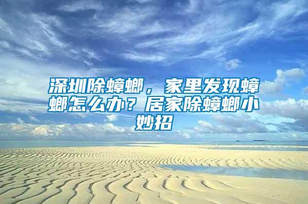 深圳除蟑螂，家里發(fā)現(xiàn)蟑螂怎么辦？居家除蟑螂小妙招