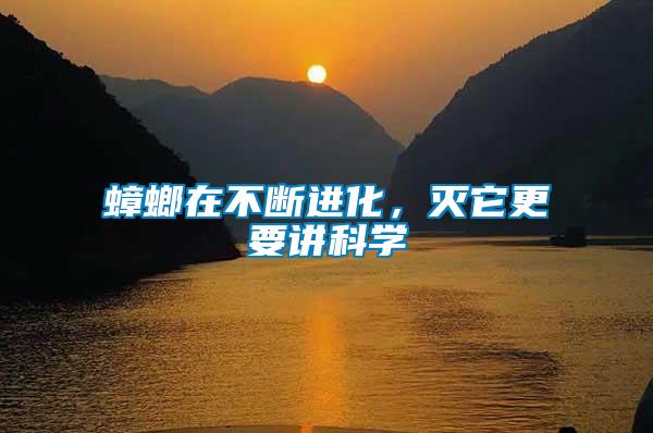 蟑螂在不斷進化，滅它更要講科學
