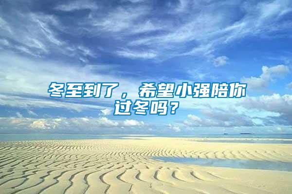 冬至到了，希望小強陪你過冬嗎？