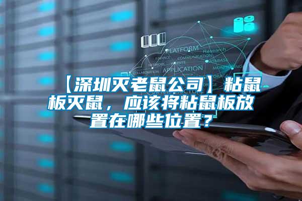 【深圳滅老鼠公司】粘鼠板滅鼠，應該將粘鼠板放置在哪些位置？