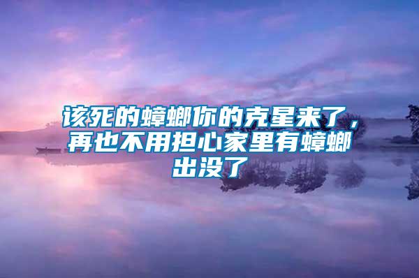 該死的蟑螂你的克星來(lái)了，再也不用擔(dān)心家里有蟑螂出沒(méi)了