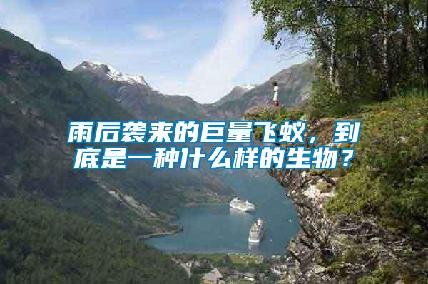 雨后襲來的巨量飛蟻，到底是一種什么樣的生物？