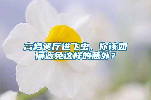 高檔餐廳進飛蟲，你該如何避免這樣的意外？
