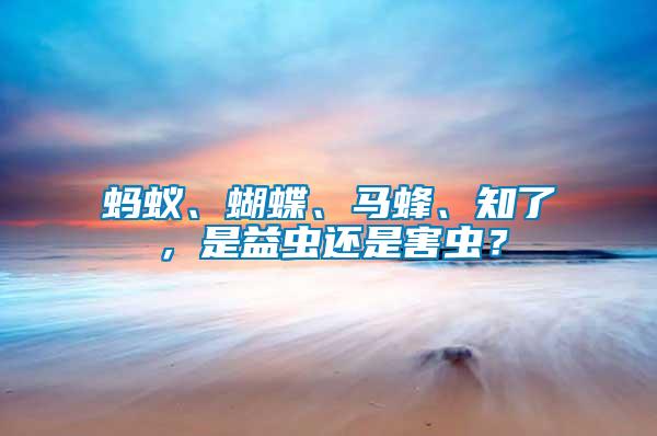 螞蟻、蝴蝶、馬蜂、知了，是益蟲還是害蟲？