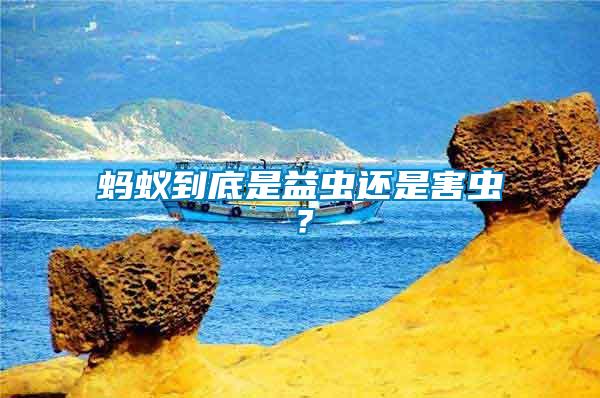 螞蟻到底是益蟲還是害蟲？