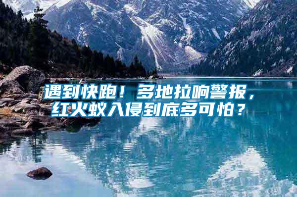 遇到快跑！多地拉響警報(bào)，紅火蟻入侵到底多可怕？