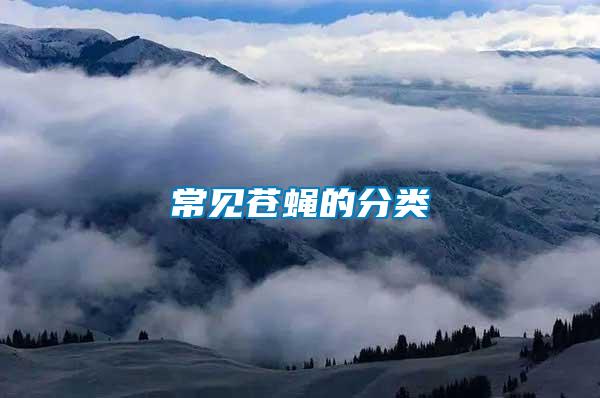 常見(jiàn)蒼蠅的分類(lèi)