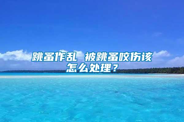 跳蚤作亂 被跳蚤咬傷該怎么處理？