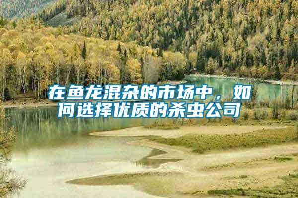 在魚龍混雜的市場(chǎng)中，如何選擇優(yōu)質(zhì)的殺蟲公司