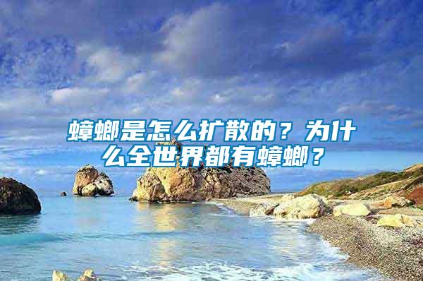 蟑螂是怎么擴散的？為什么全世界都有蟑螂？