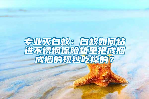 專業滅白蟻：白蟻如何鉆進不銹鋼保險箱里把成捆成捆的現鈔吃掉的？