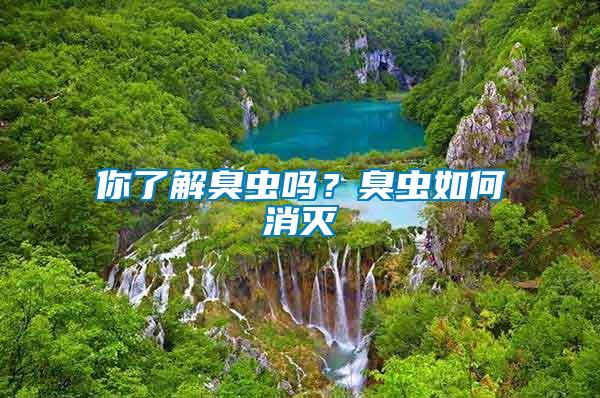你了解臭蟲嗎？臭蟲如何消滅