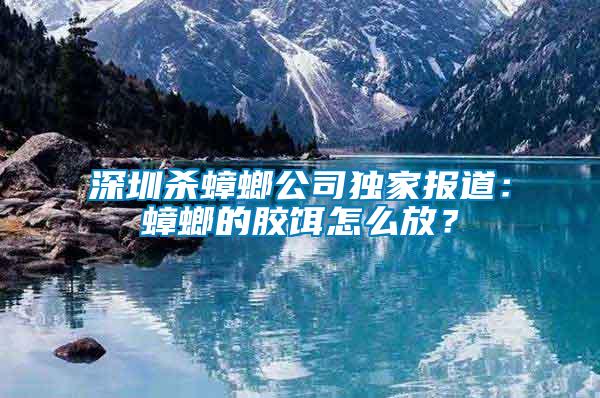 深圳殺蟑螂公司獨家報道：蟑螂的膠餌怎么放？