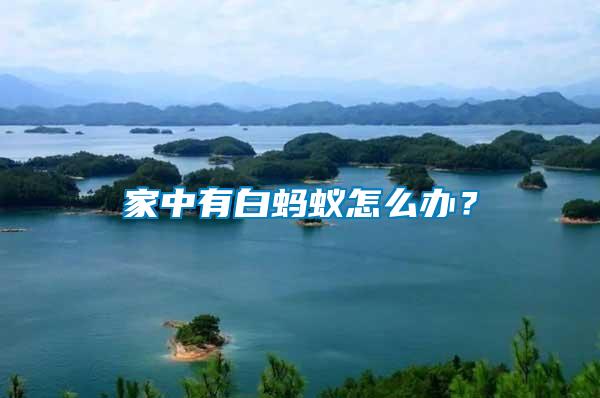 家中有白螞蟻怎么辦？