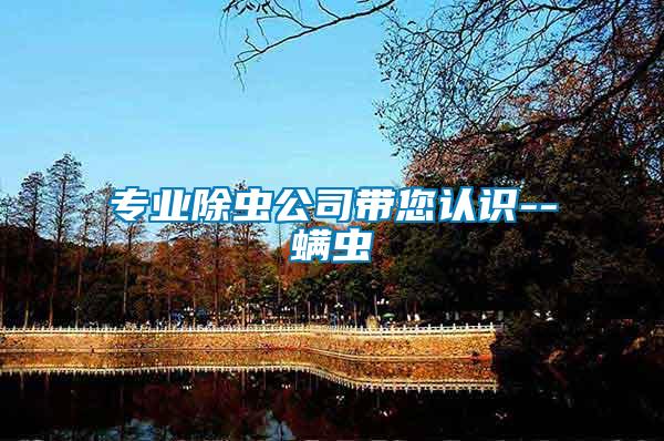 專業(yè)除蟲(chóng)公司帶您認(rèn)識(shí)--螨蟲(chóng)