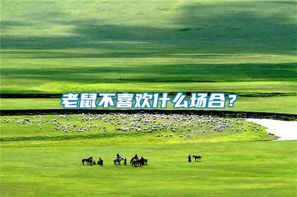 老鼠不喜歡什么場合？
