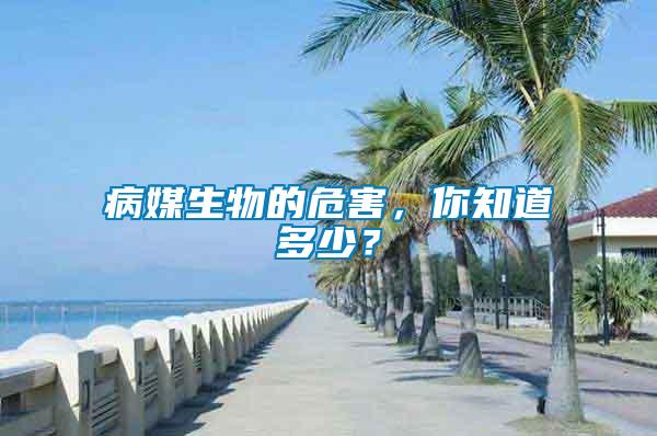 病媒生物的危害，你知道多少？