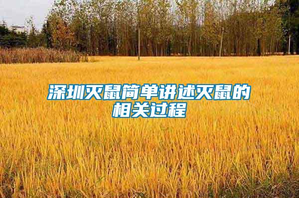 深圳滅鼠簡(jiǎn)單講述滅鼠的相關(guān)過(guò)程