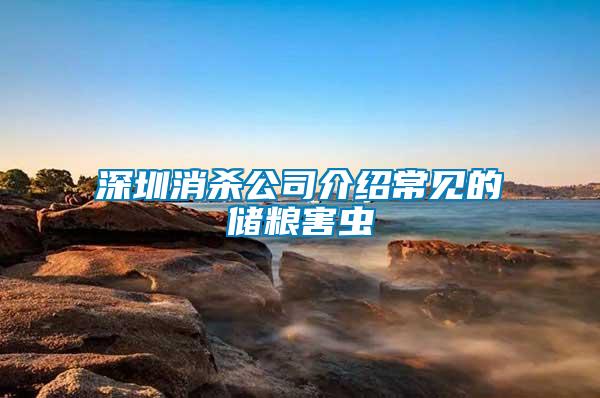 深圳消殺公司介紹常見(jiàn)的儲(chǔ)糧害蟲(chóng)