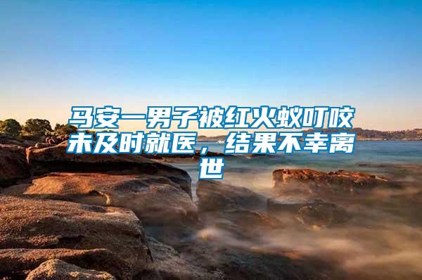 馬安一男子被紅火蟻叮咬未及時(shí)就醫(yī)，結(jié)果不幸離世