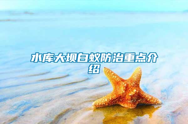 水庫(kù)大壩白蟻防治重點(diǎn)介紹