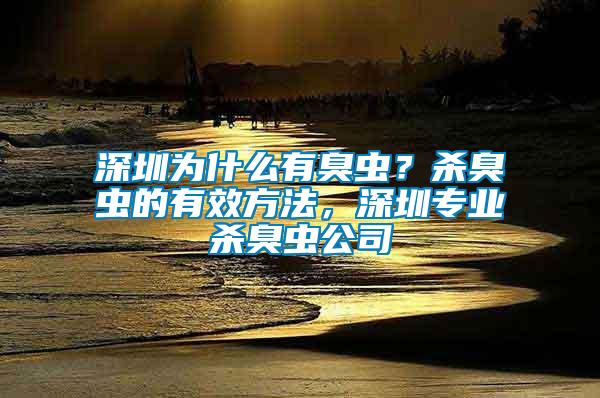 深圳為什么有臭蟲？殺臭蟲的有效方法，深圳專業殺臭蟲公司