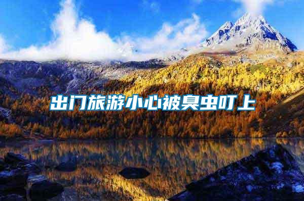 出門旅游小心被臭蟲(chóng)叮上