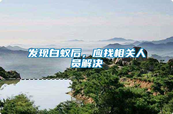 發現白蟻后，應找相關人員解決